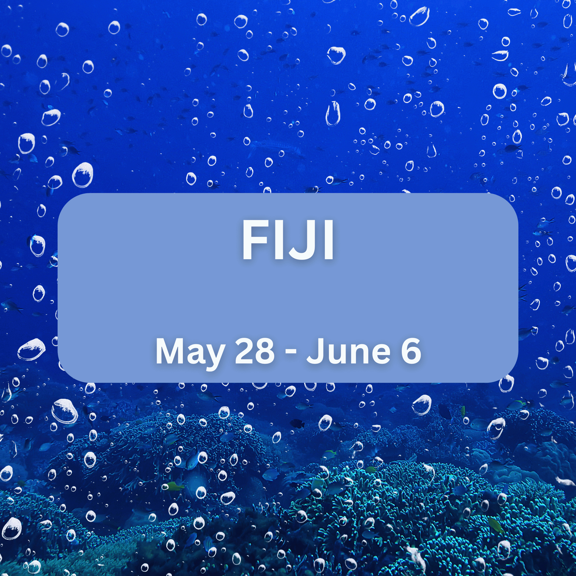 Volivoli-Figi Dive Trip by Peachtree Dive Center
