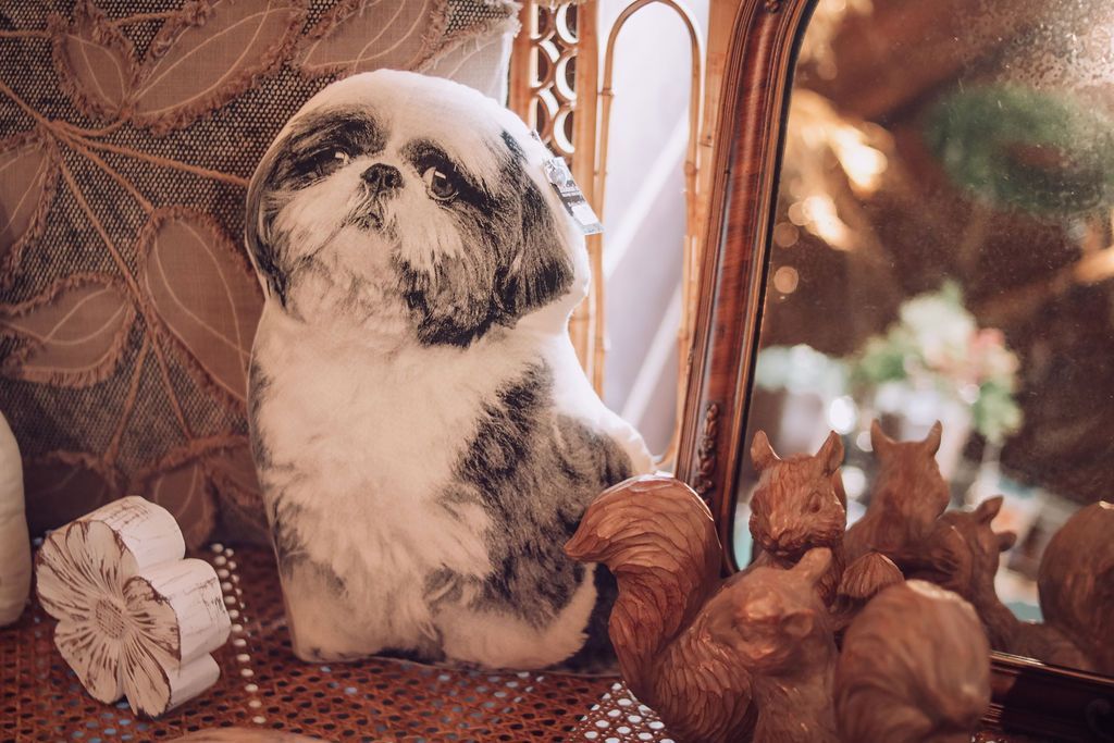Stuffed Shih Tzu dog next to squirrels and a mirror.