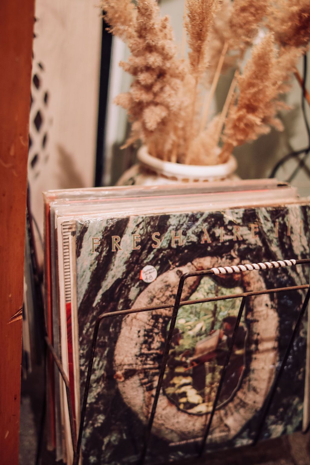 Stack of vinyl records in a metal rack; dried beige flowers in a vase in background.