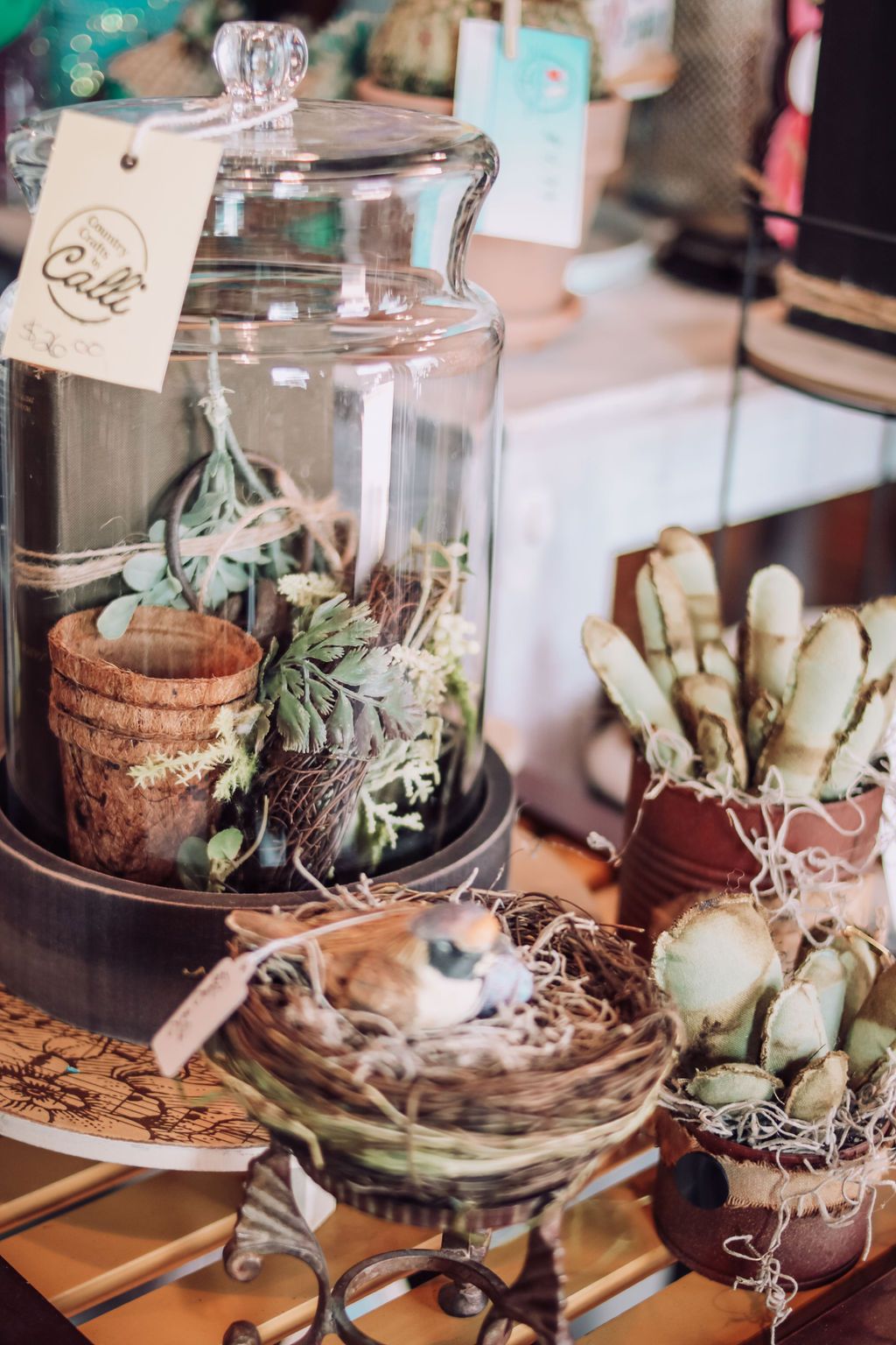 Terrarium with plants, bird's nest, and succulents displayed on a table.