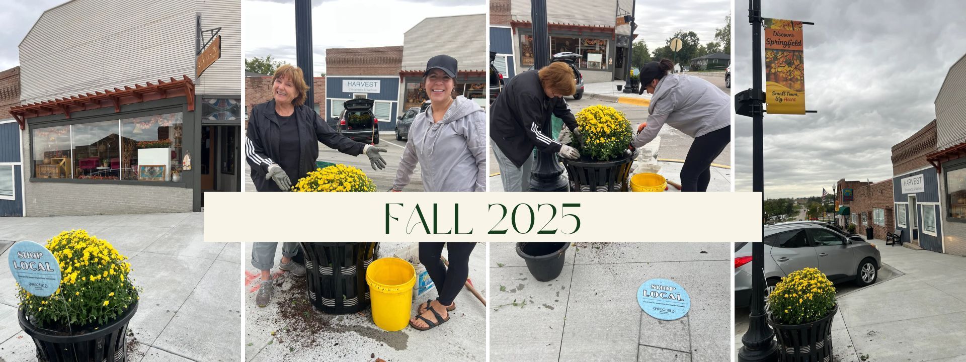 People planting yellow flowers in planters in a downtown area, 