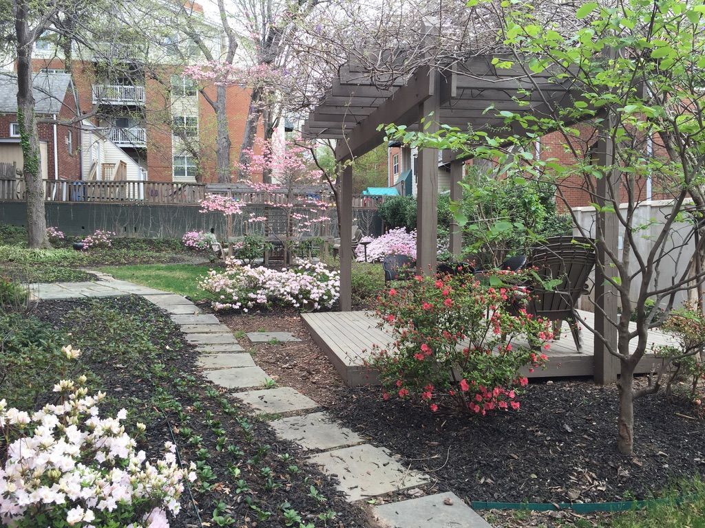There is a pergola in the middle of a garden with flowers.