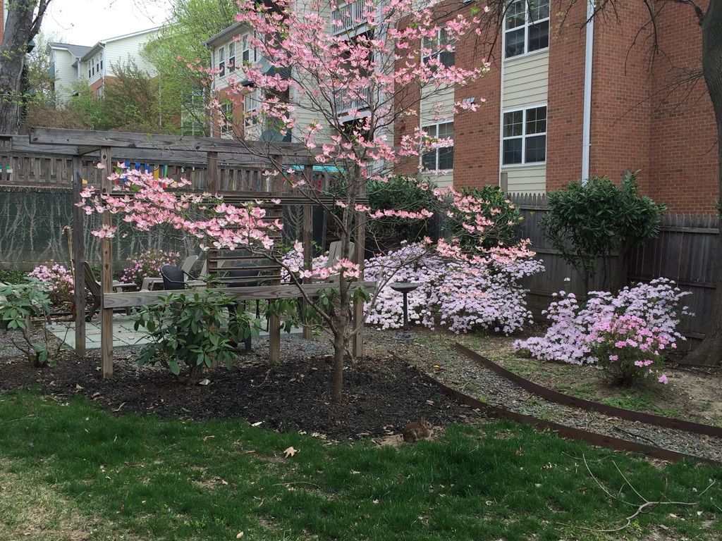A garden with pink flowers and a brick building in the background