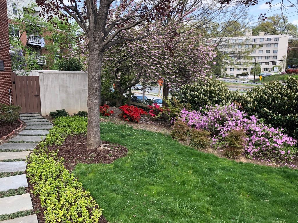 A lush green lawn with flowers and trees in front of a building.