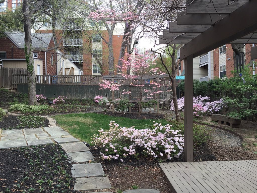 A garden with pink flowers and a pergola in the background