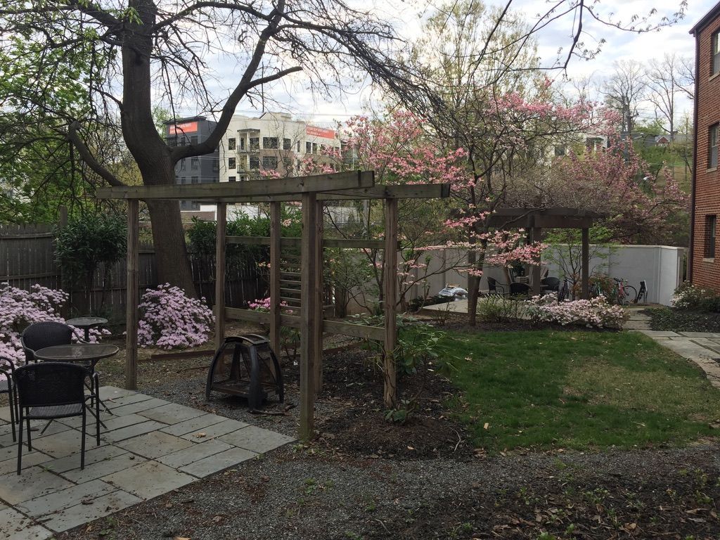 A backyard with a pergola and a table and chairs