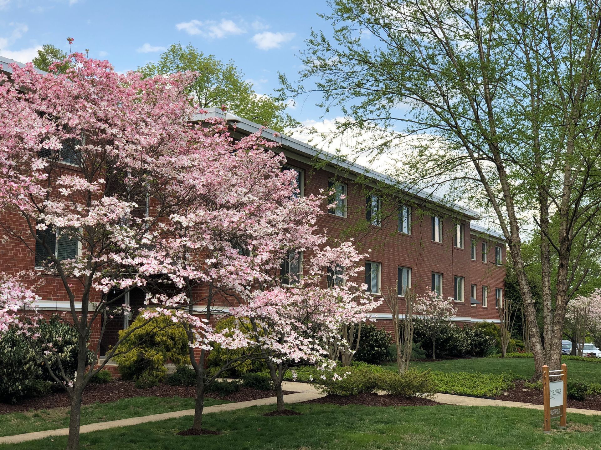 A brick building with pink flowers on the trees in front of it