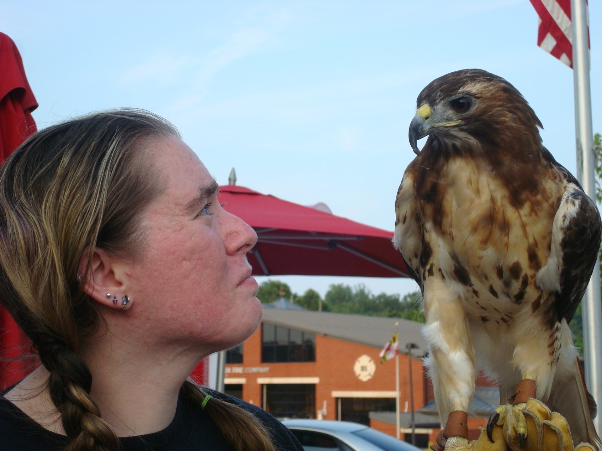 Animal Edutainment Face Works Events