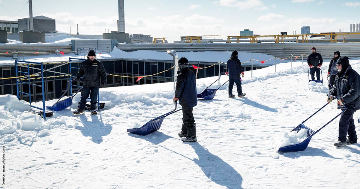 Des personnes pelletent la neige à l'extérieur, près d'un bâtiment, sous un ciel radieux et ensoleillé.