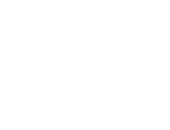Blank white image.