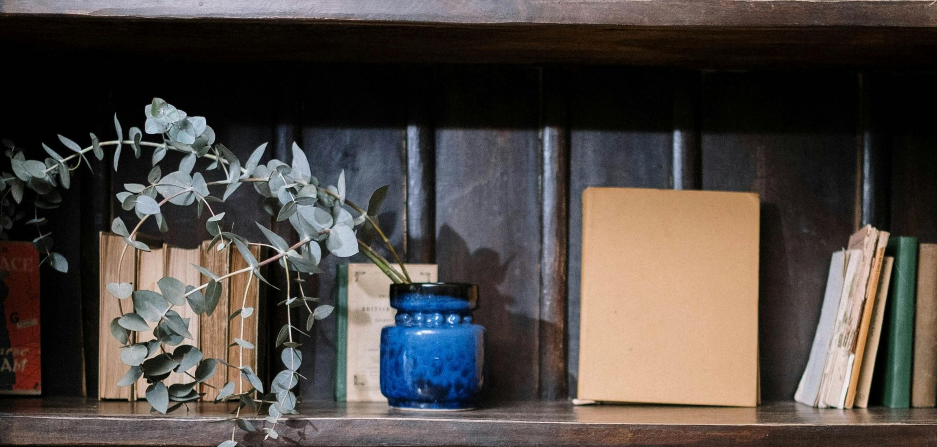 Bookshelf with old books, blue vase, and eucalyptus sprigs.