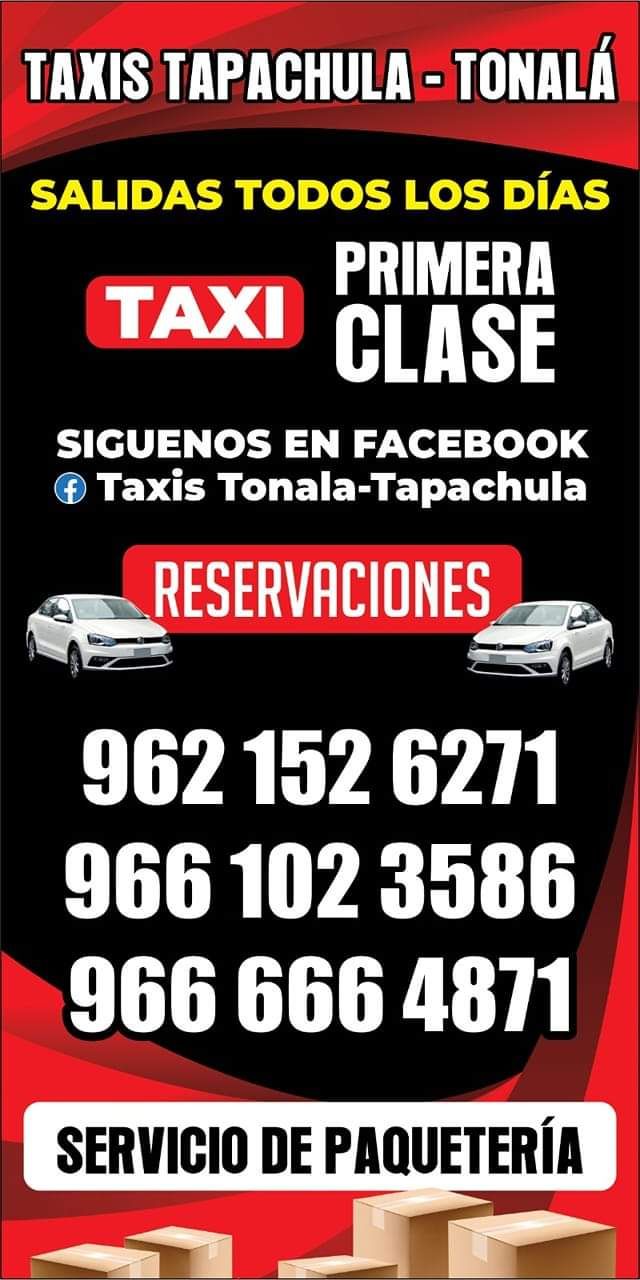 ARIAS TOURS CHIAPANECOS Taxi
