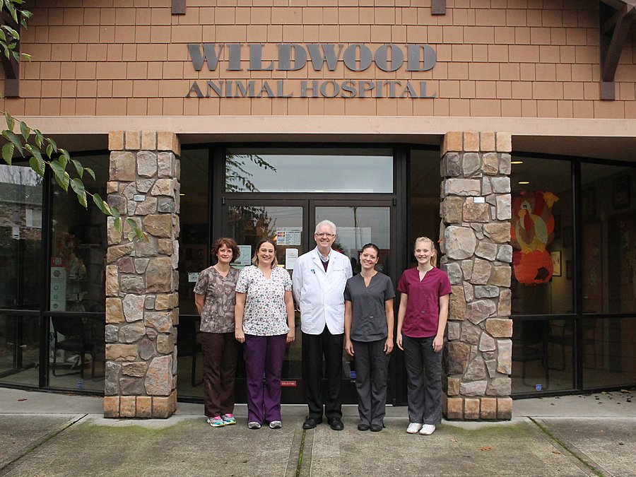 Vet Clinic In Portland Gresham Or Animal Hospital