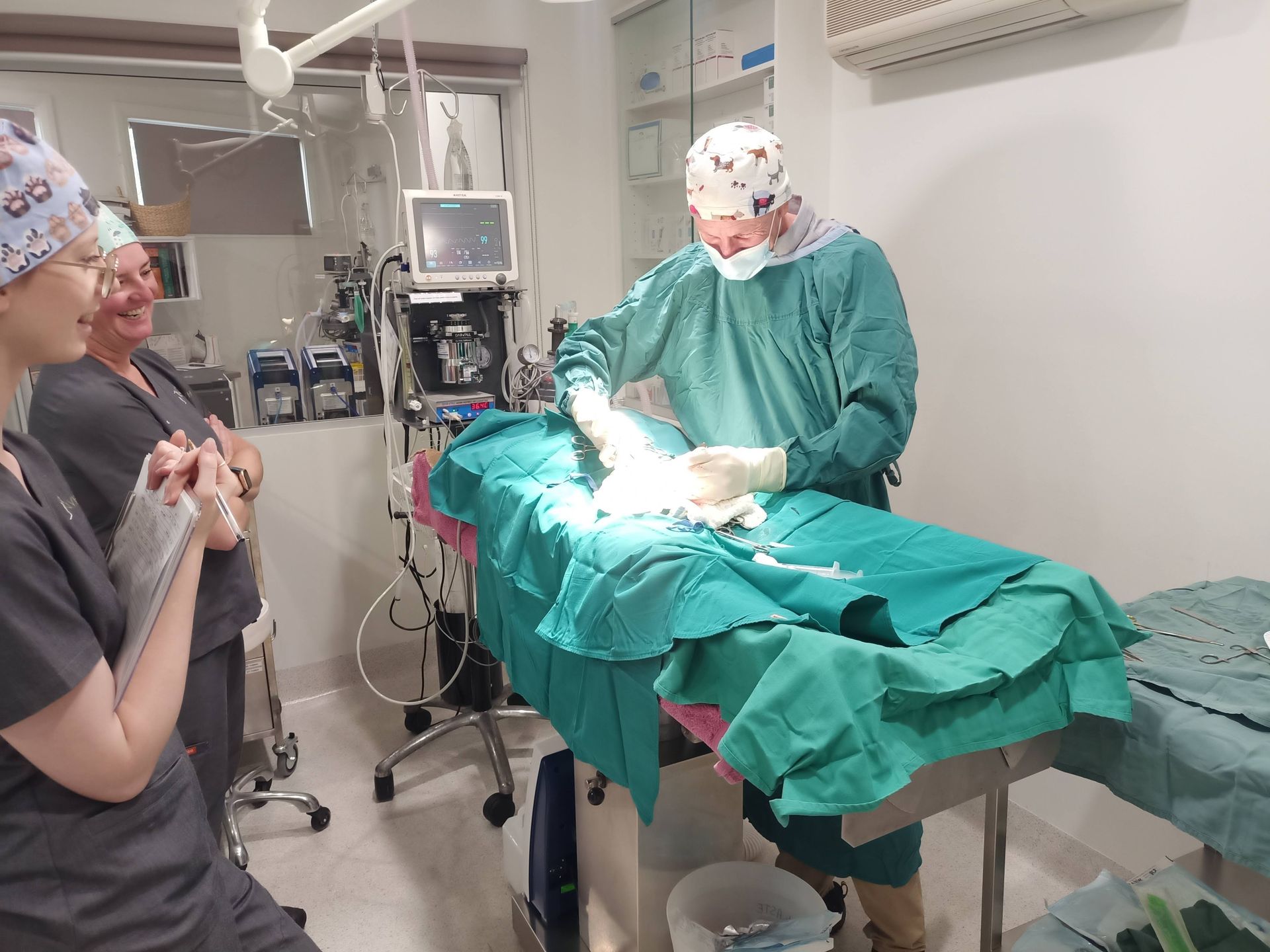 A man is Operating on a dog with a Cnivh logo in the Corner — Northern Illawarra Veterinary Hospital