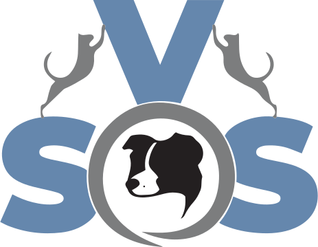 VSOS