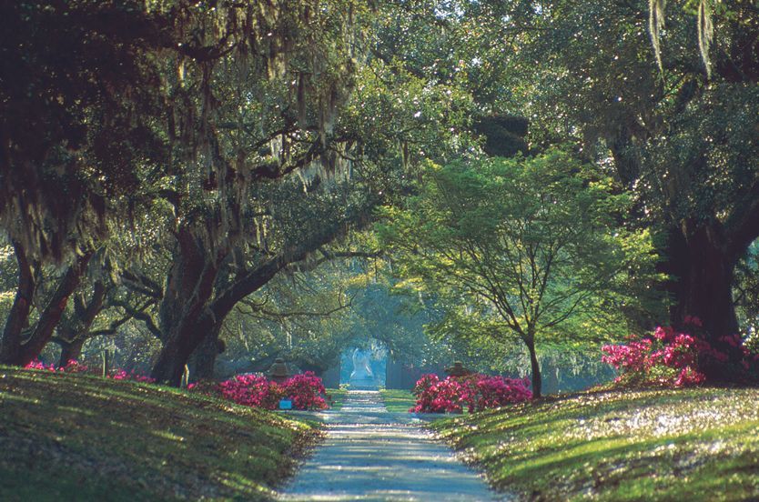 brookgreen gardens