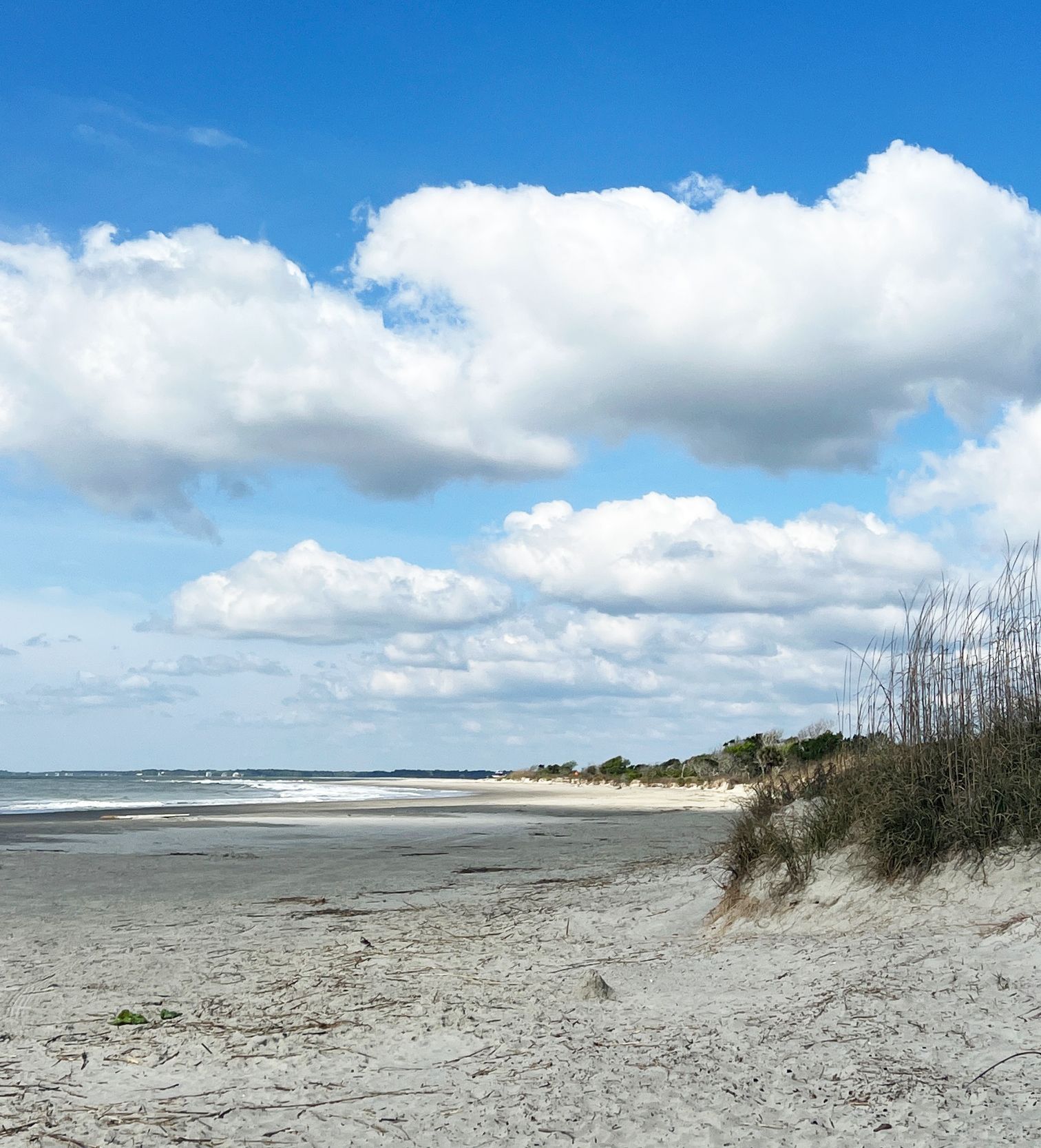 beauty of Sullivan's Island