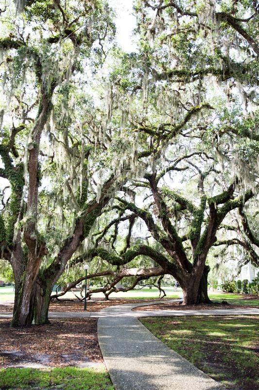 Jekyll Island Historic District