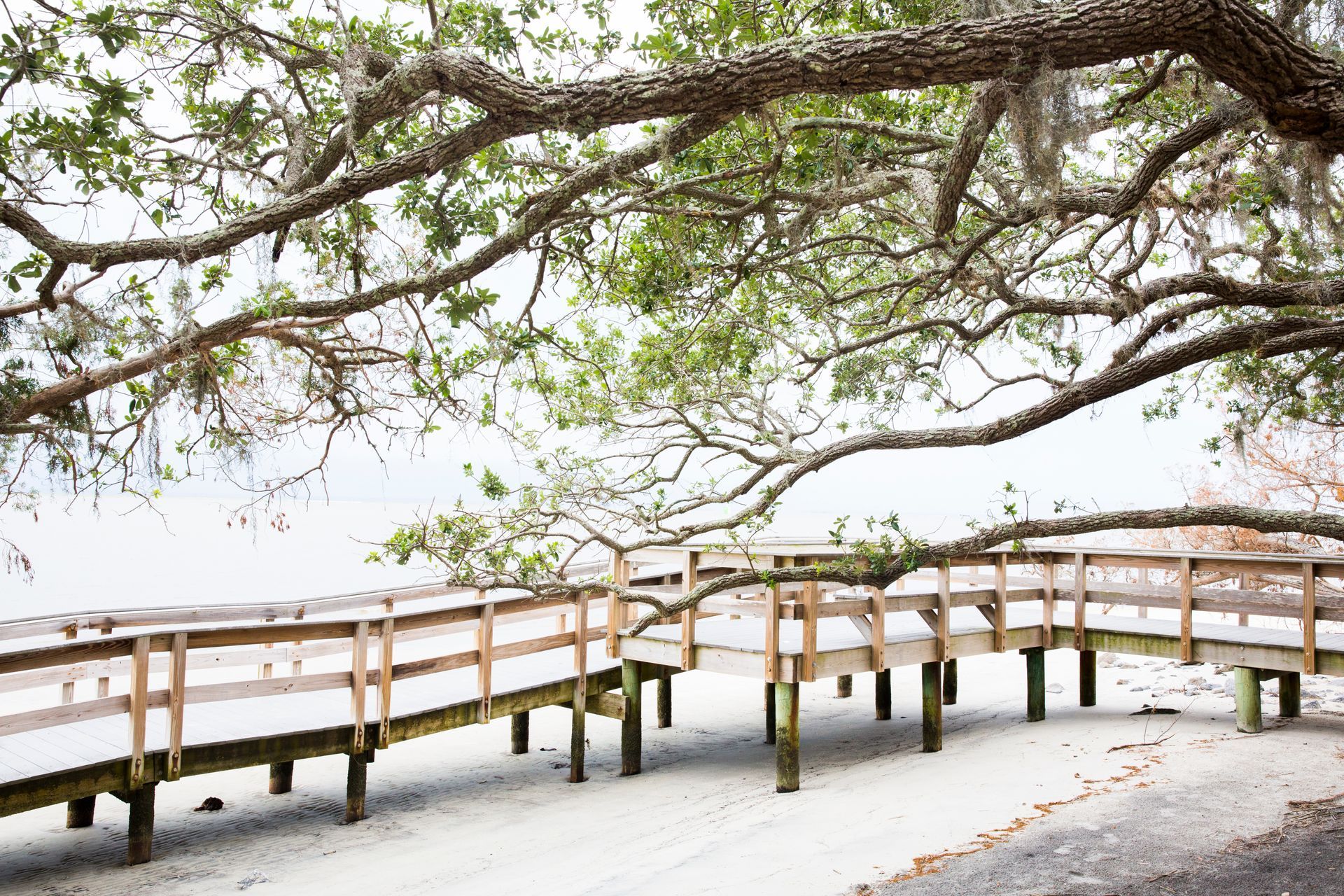 Walkway at Jekyll Island