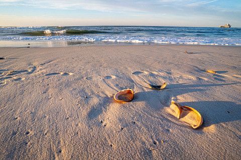 The Alabama Gulf Coast
