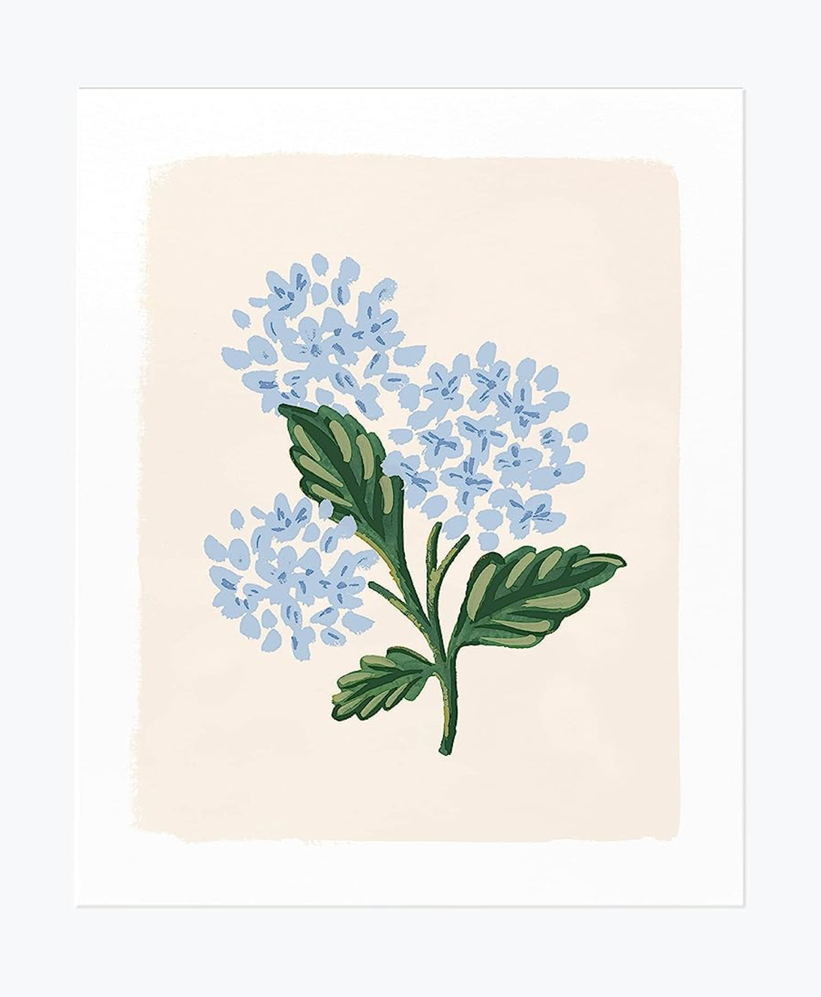 Hydrangea print from Amazon