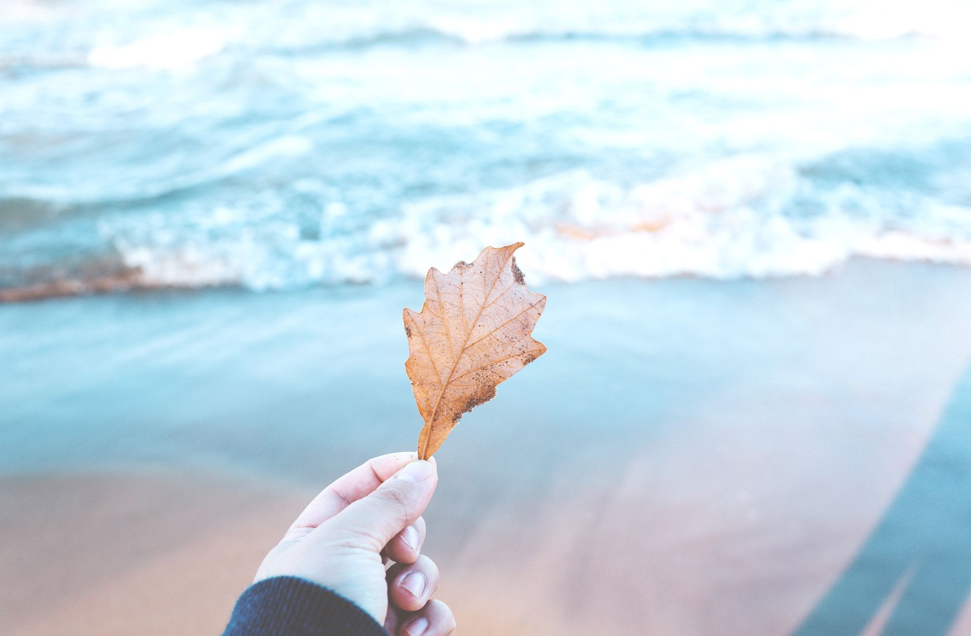 10 Events You Don’t Want to Miss this Fall