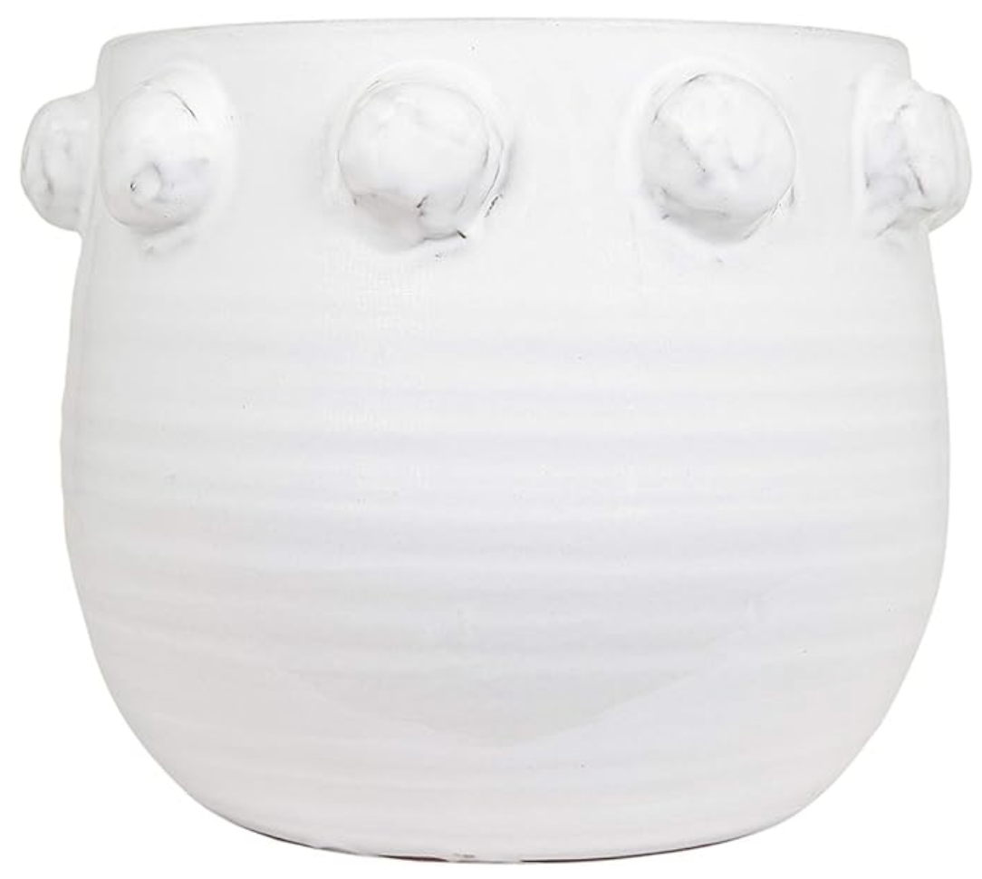 Photo credit: Amazon Pot from Amazon