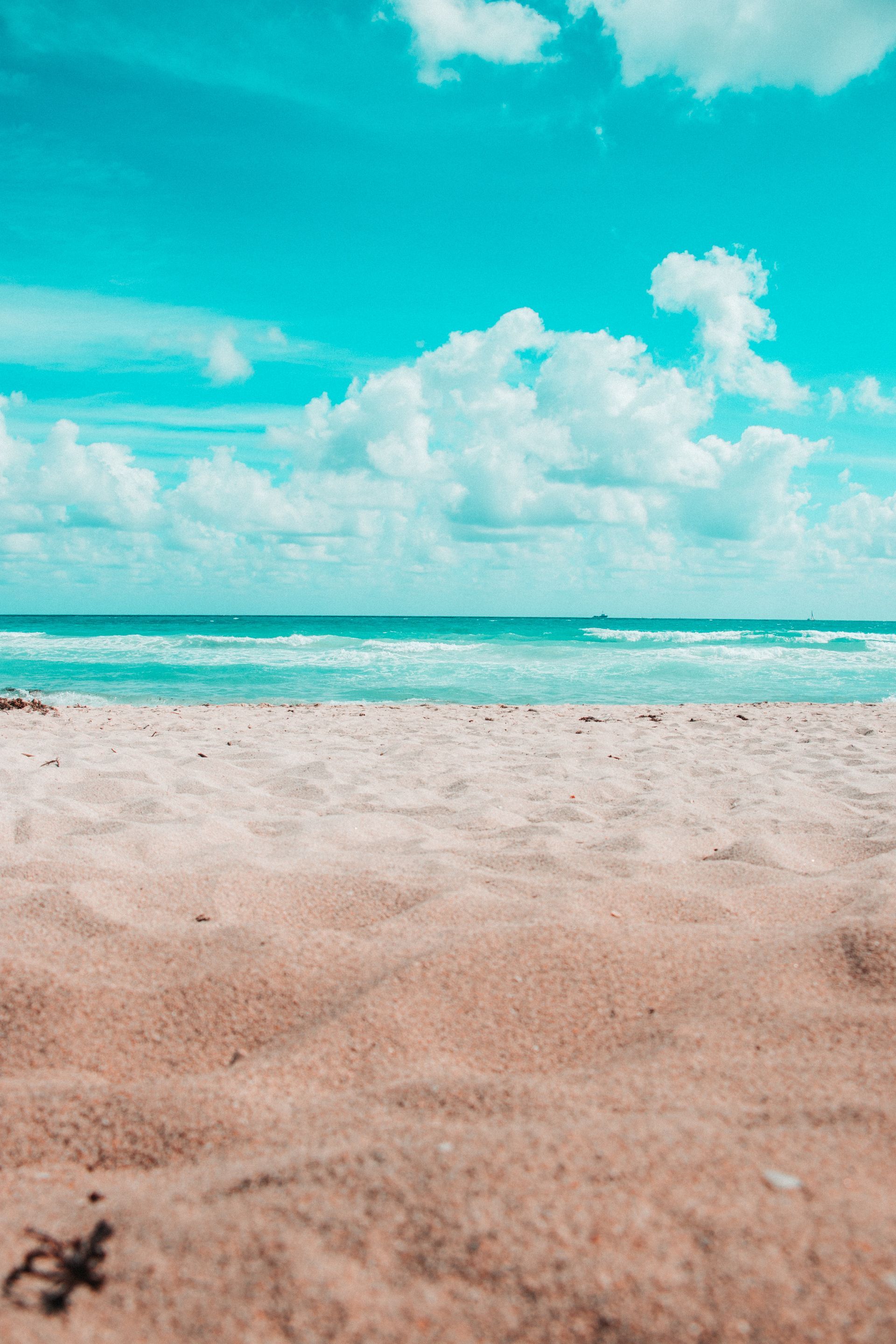 8 Events You Don&rsquo;t Want to Miss This Spring