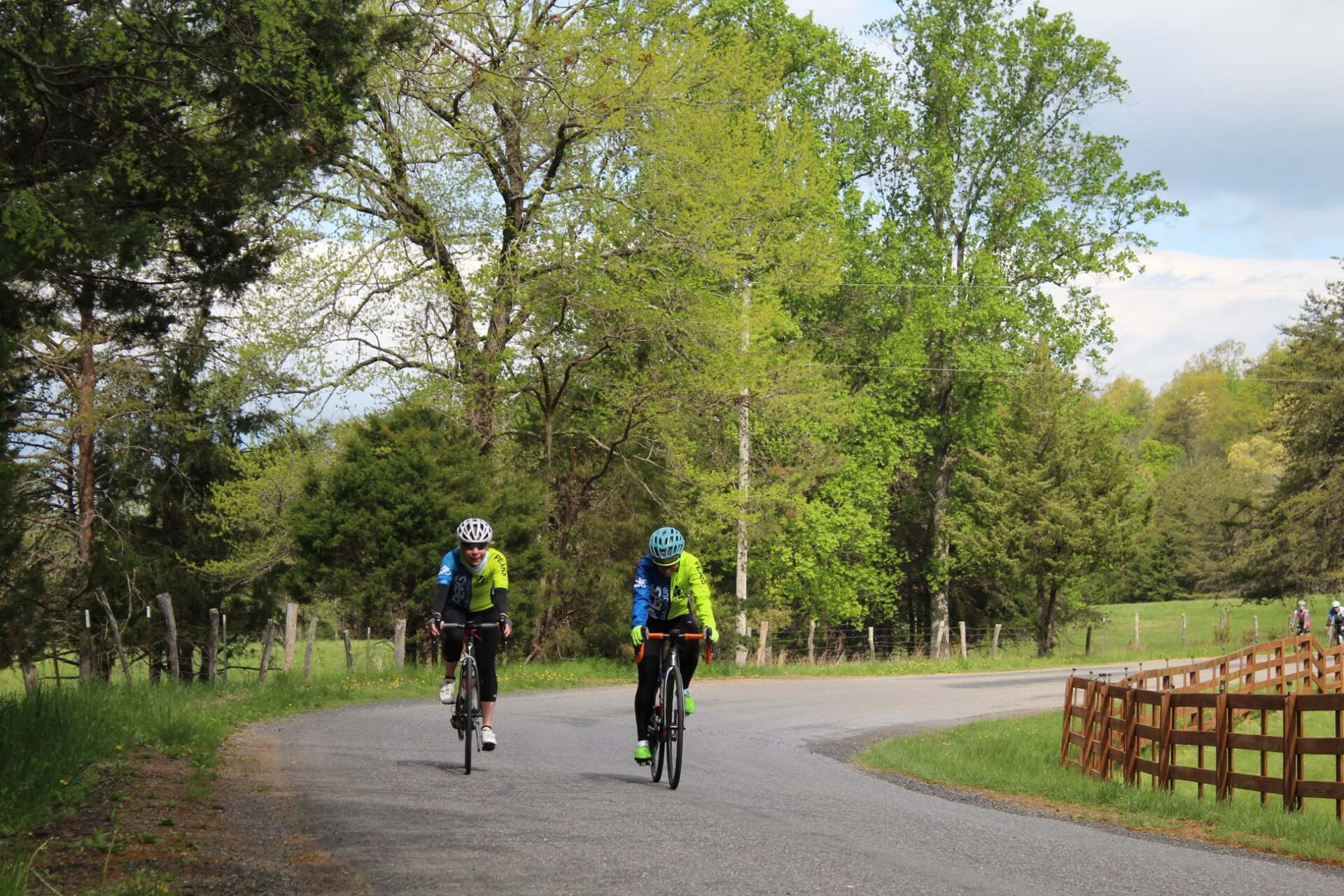 Two people are riding bicycles down a country road.