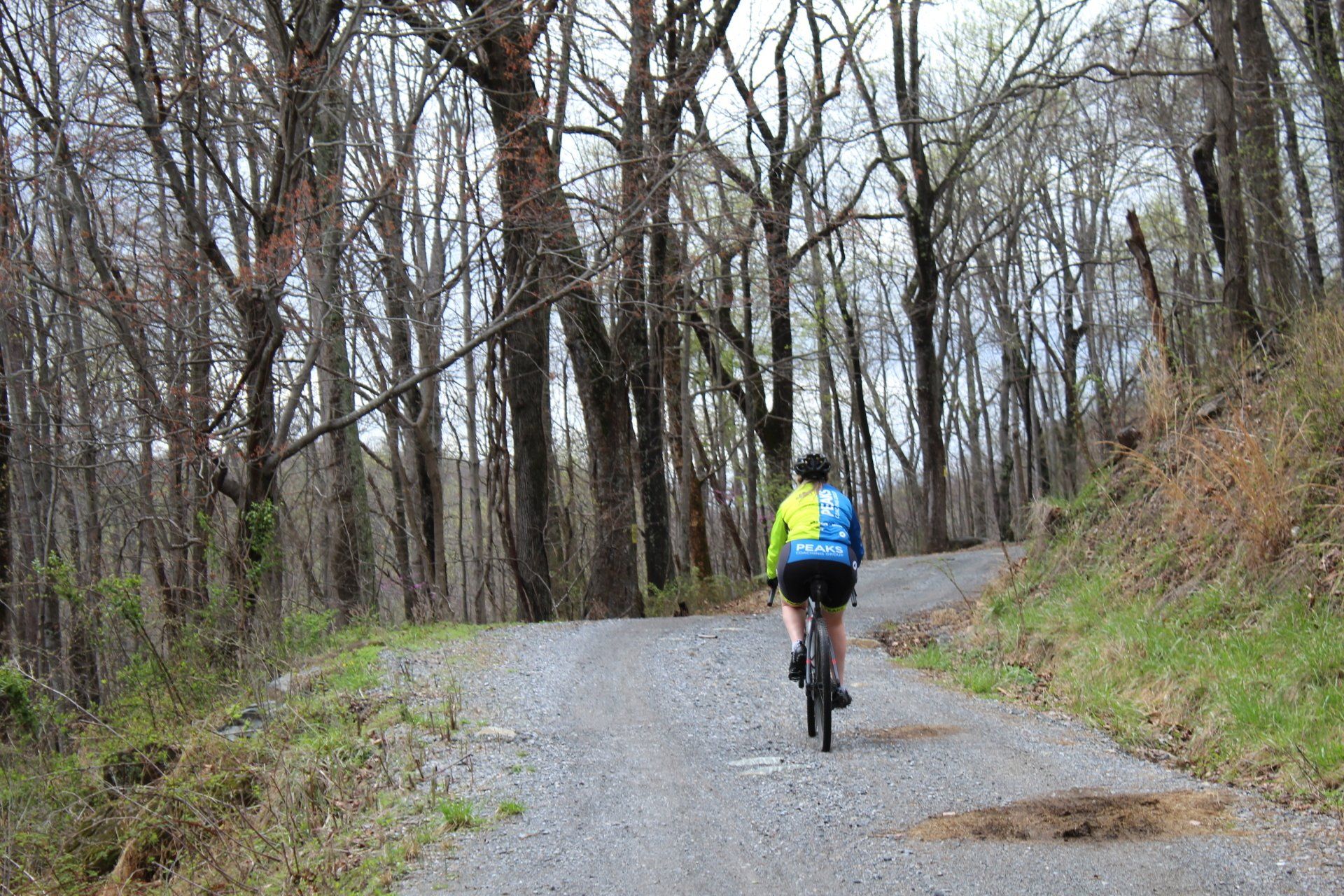 A person is riding a bike down a dirt road in the woods.