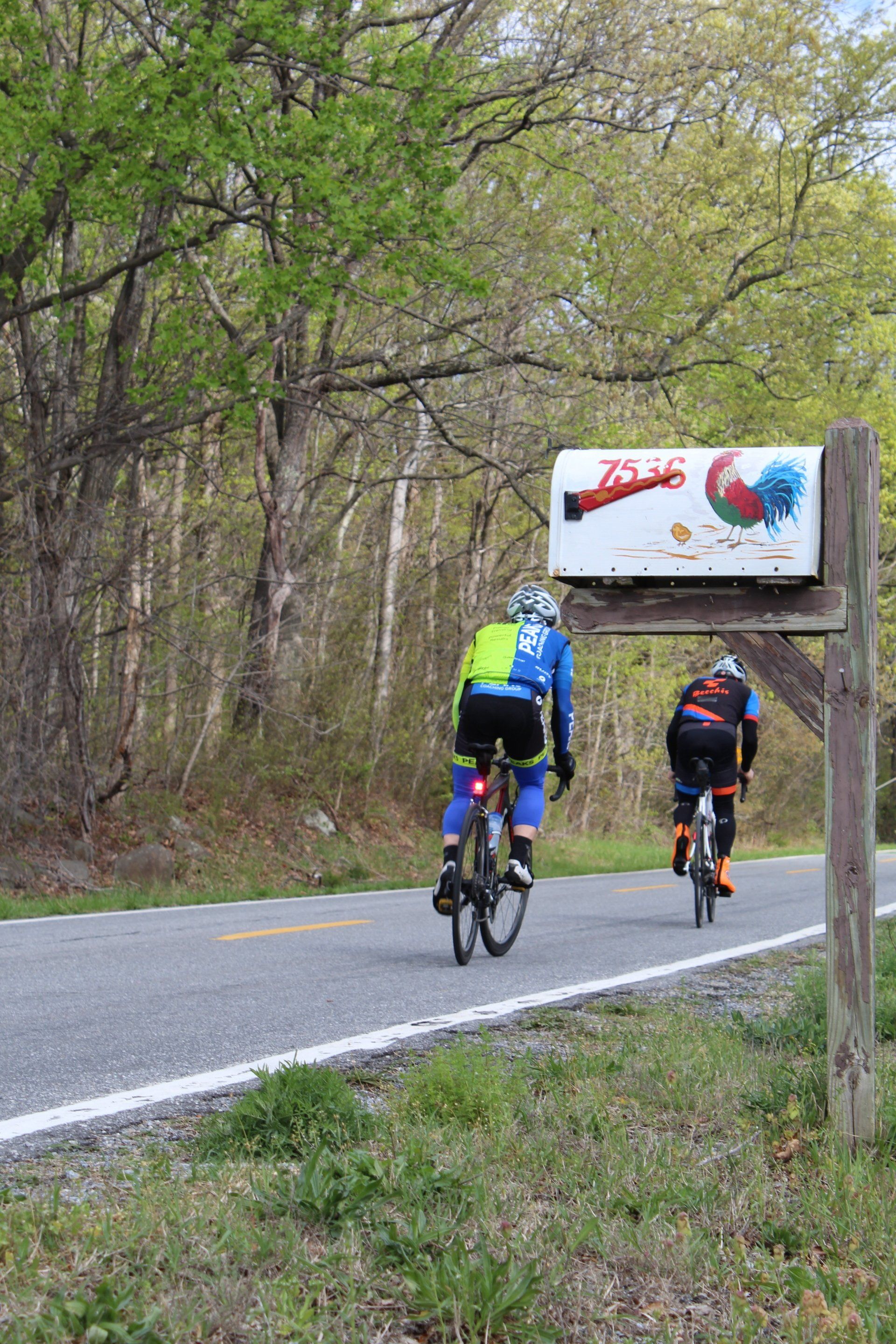 Two people are riding bicycles down a road next to a sign.