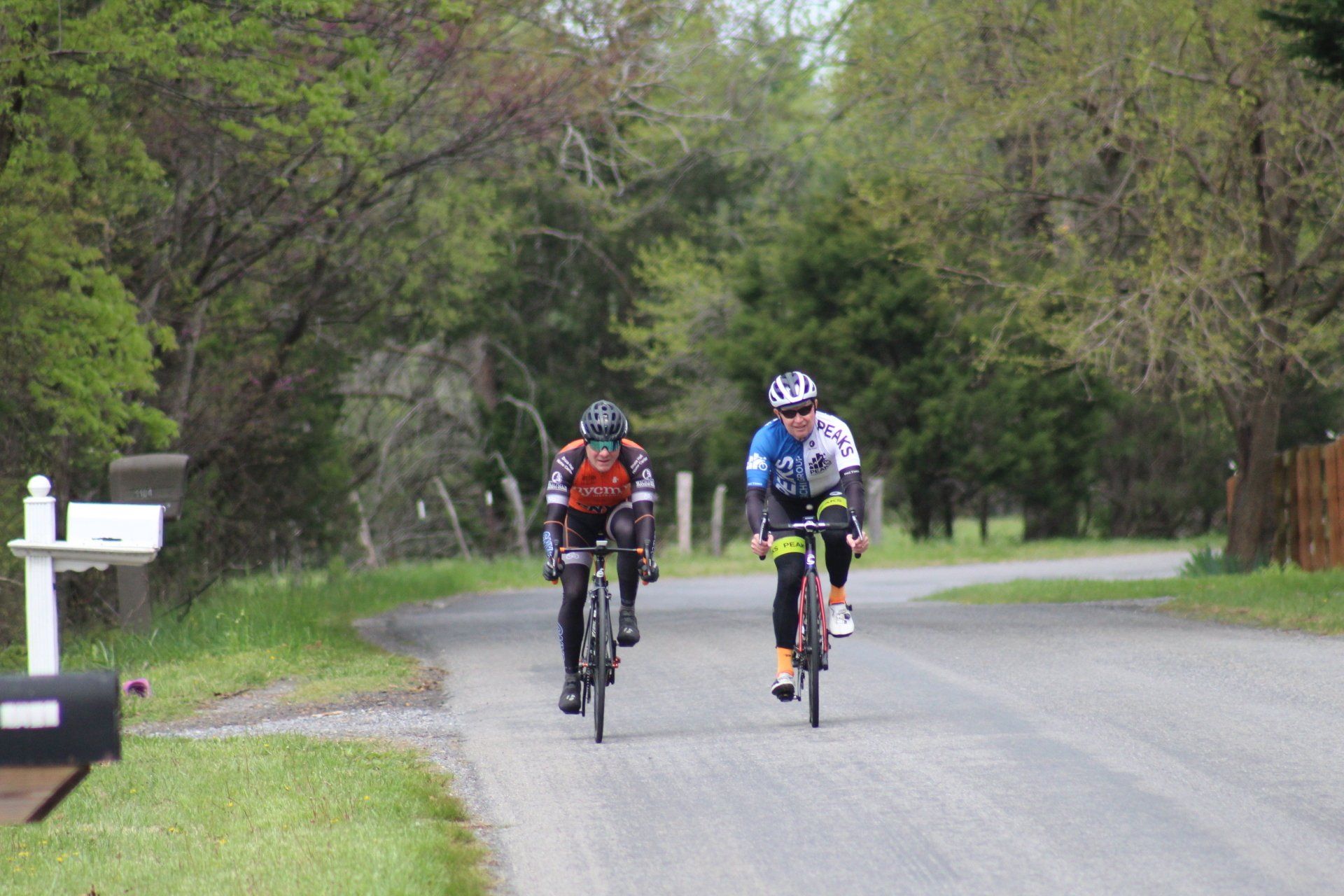 Two people are riding bicycles down a country road.