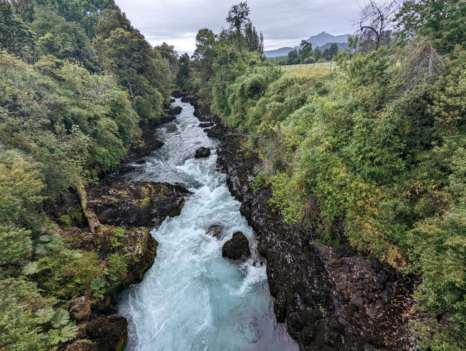A river flowing through a lush green forest on a cloudy day.