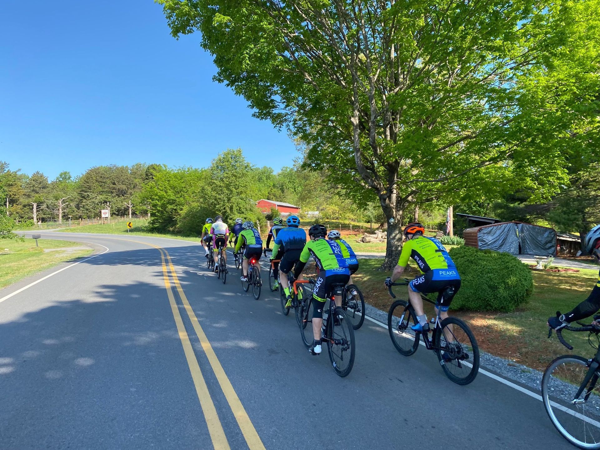 A group of people are riding bicycles down a road.