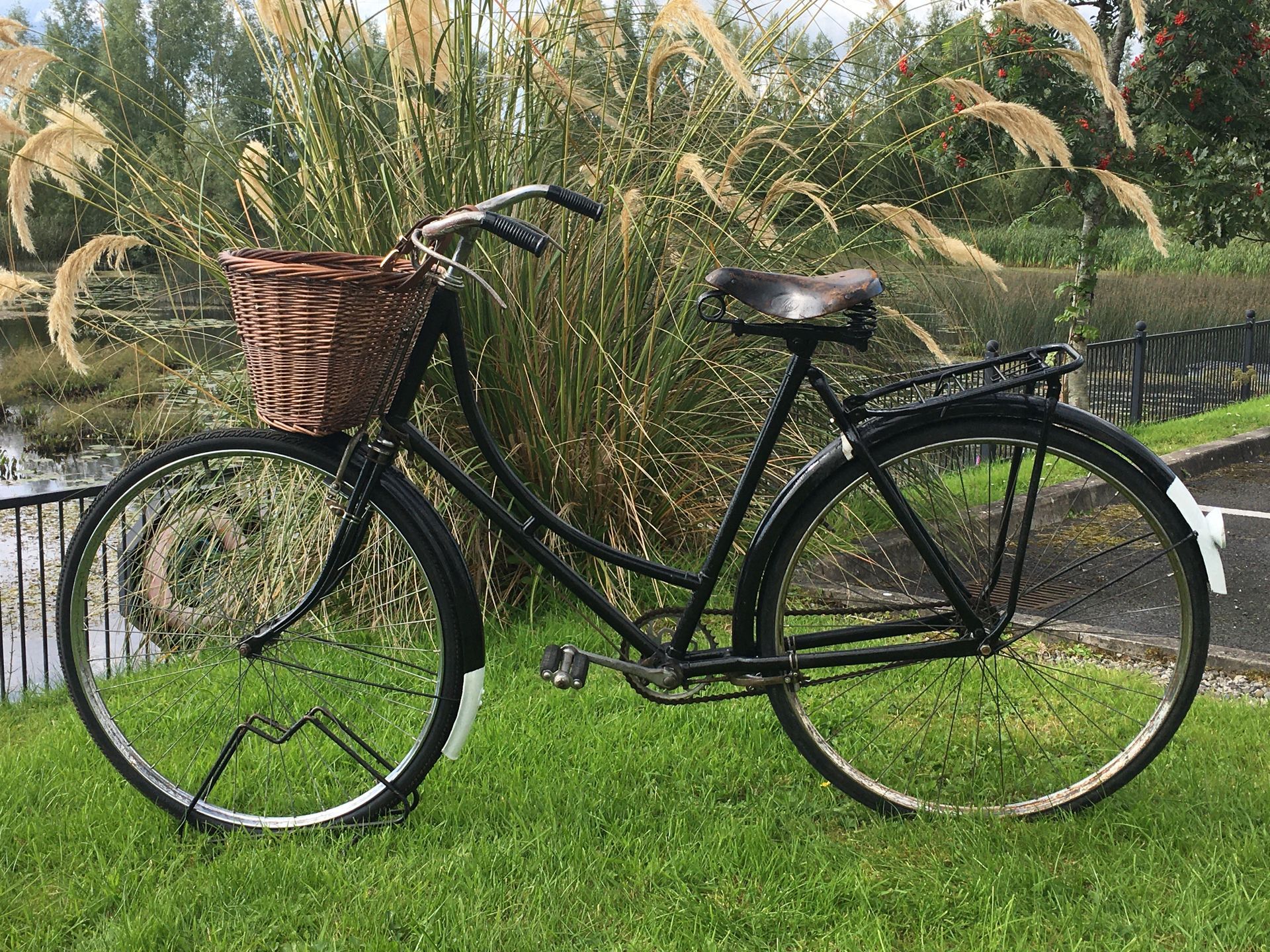 Black bicycle with wicker basket on grass, in front of tall green plants