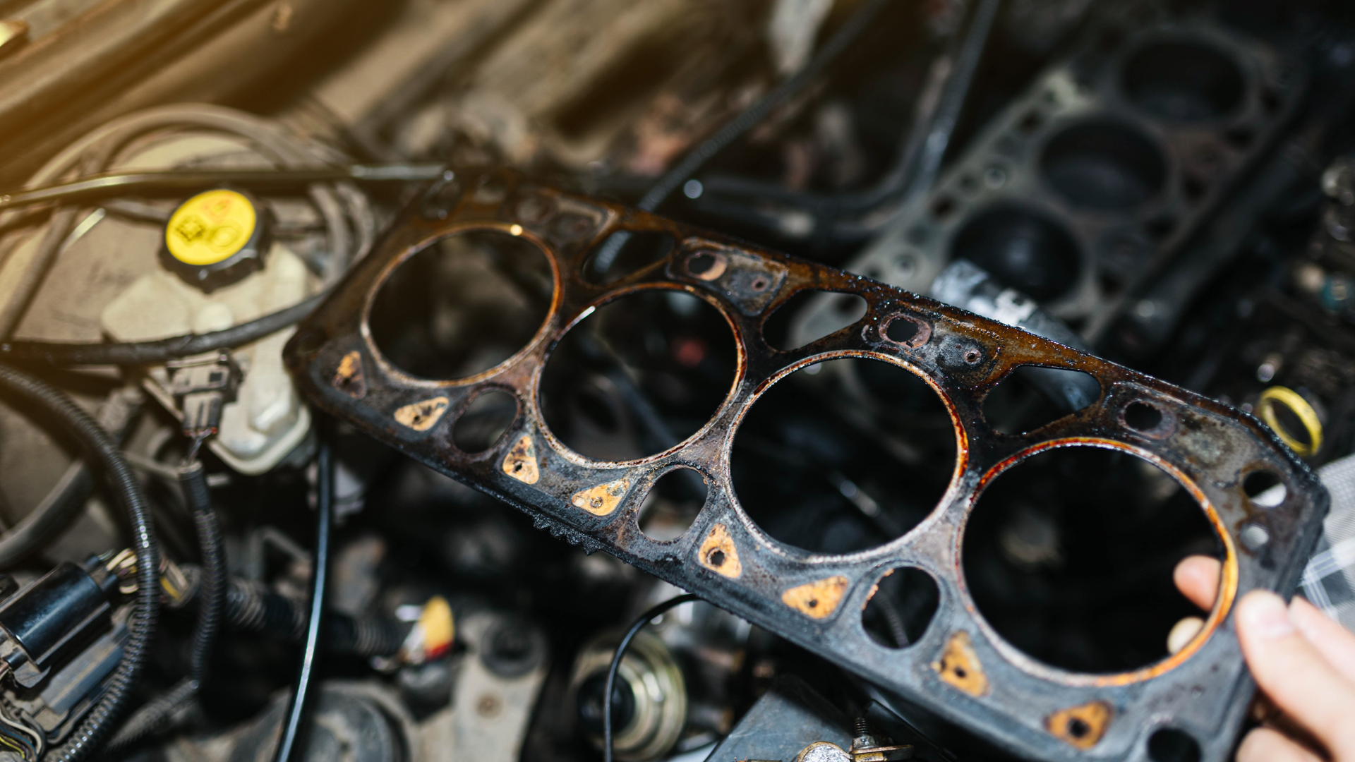 Close-up of a damaged engine cylinder head gasket with burnt orange residue and exposed bore openings