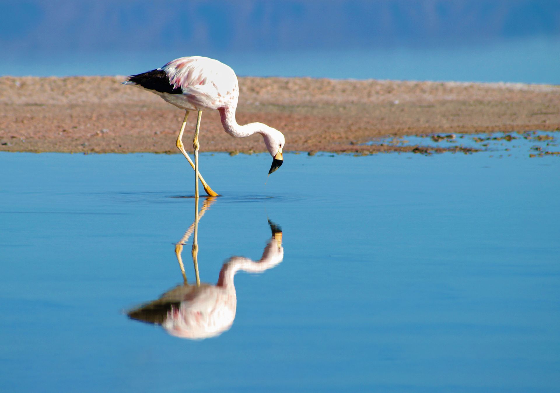 The image represents the profound impact of self-awareness.