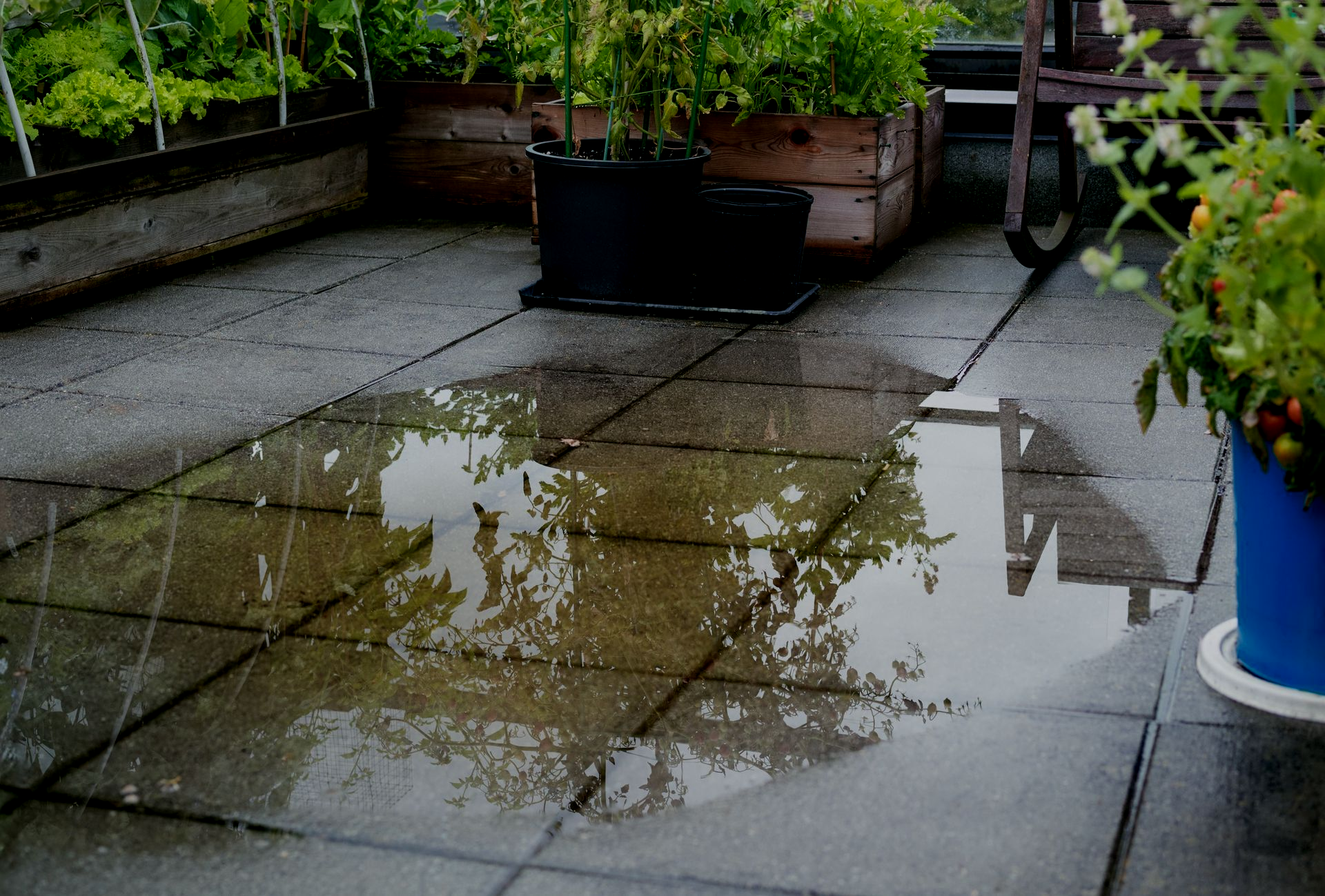 Stormwater Repairs and Installation Adelaide