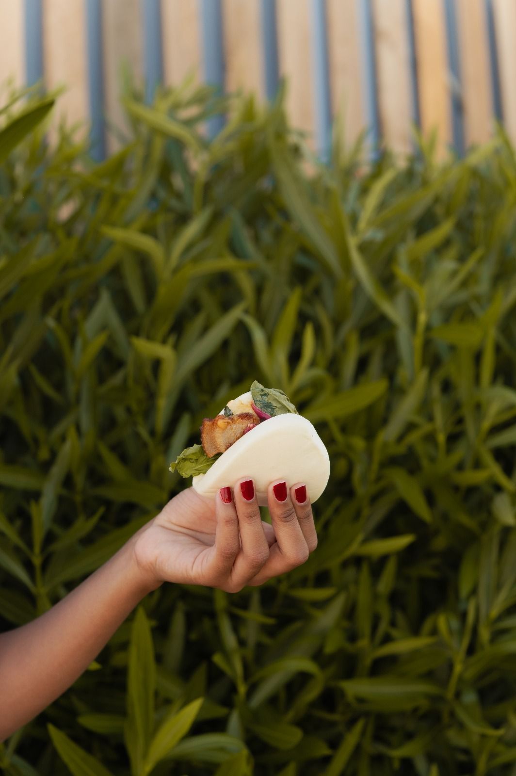 Mano che regge un taco davanti a una vegetazione verde, con unghie dipinte di rosso.