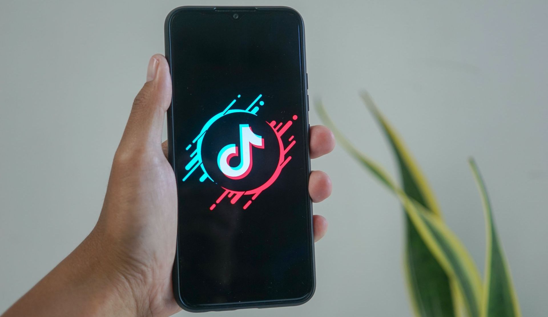 Adverteren op TikTok in de regio Alphen aan den Rijn