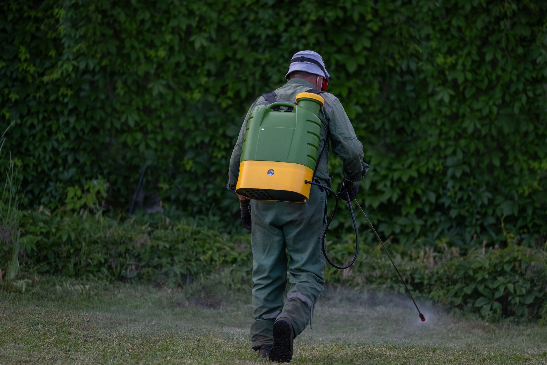 Technician performing pest control services with a backpack sprayer near a hedge