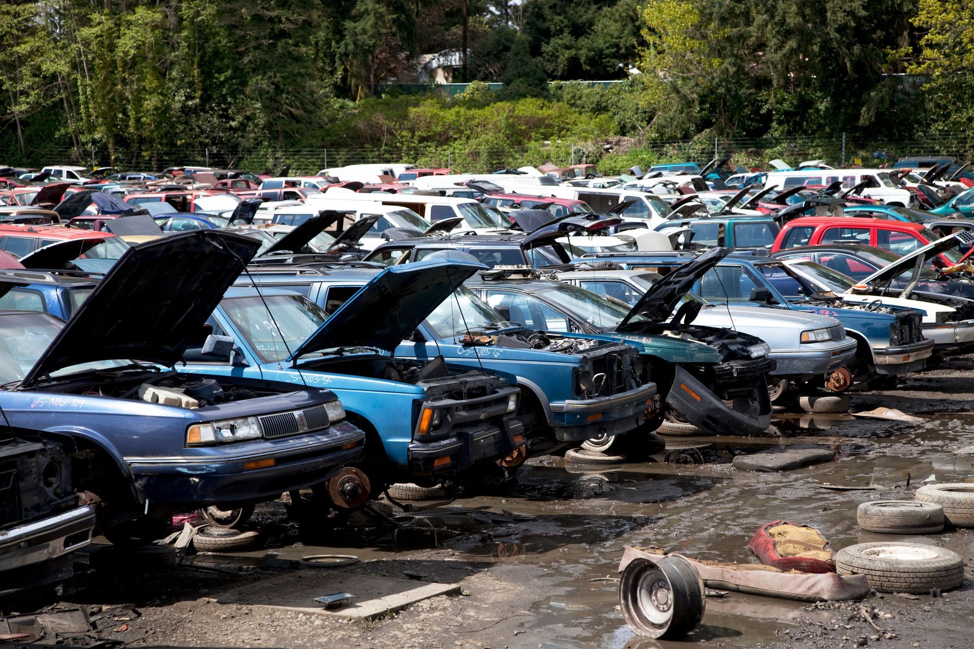 A group of cars with the hood open | Sell My Junk Car For Cash in Chicago Il | Auto Wreckers Chicago
