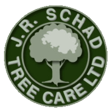 J.R.Schad Tree Care Ltd JR Schad Tree Care Ltd are tree surgeons based in Braco, Dunblane working throughout Perthshire and surrounding areas of Scotland