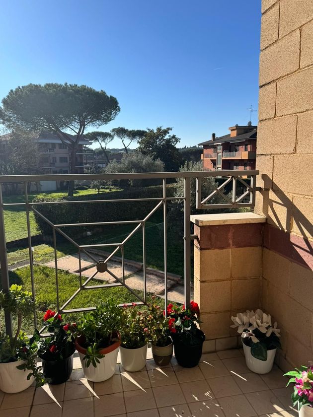 Camere