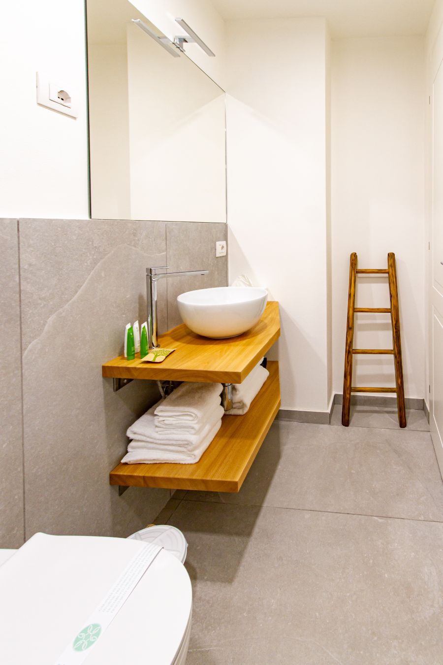 stanza dell'hotel con bagno privato