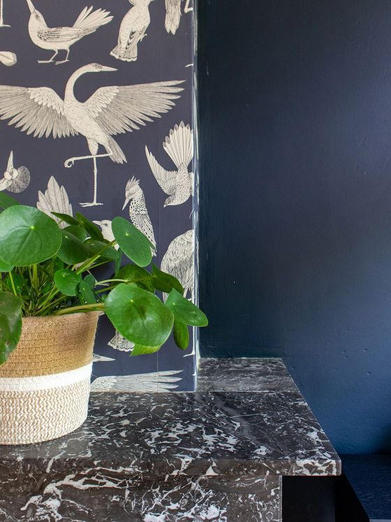 Plant in een pot met structuur op donker marmer met behang met vogelmotief en een donkerblauwe muur.