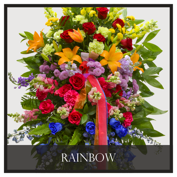 Rainbow