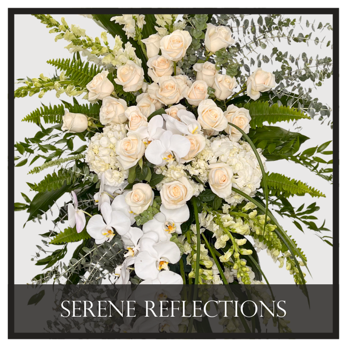 Serene Reflections
