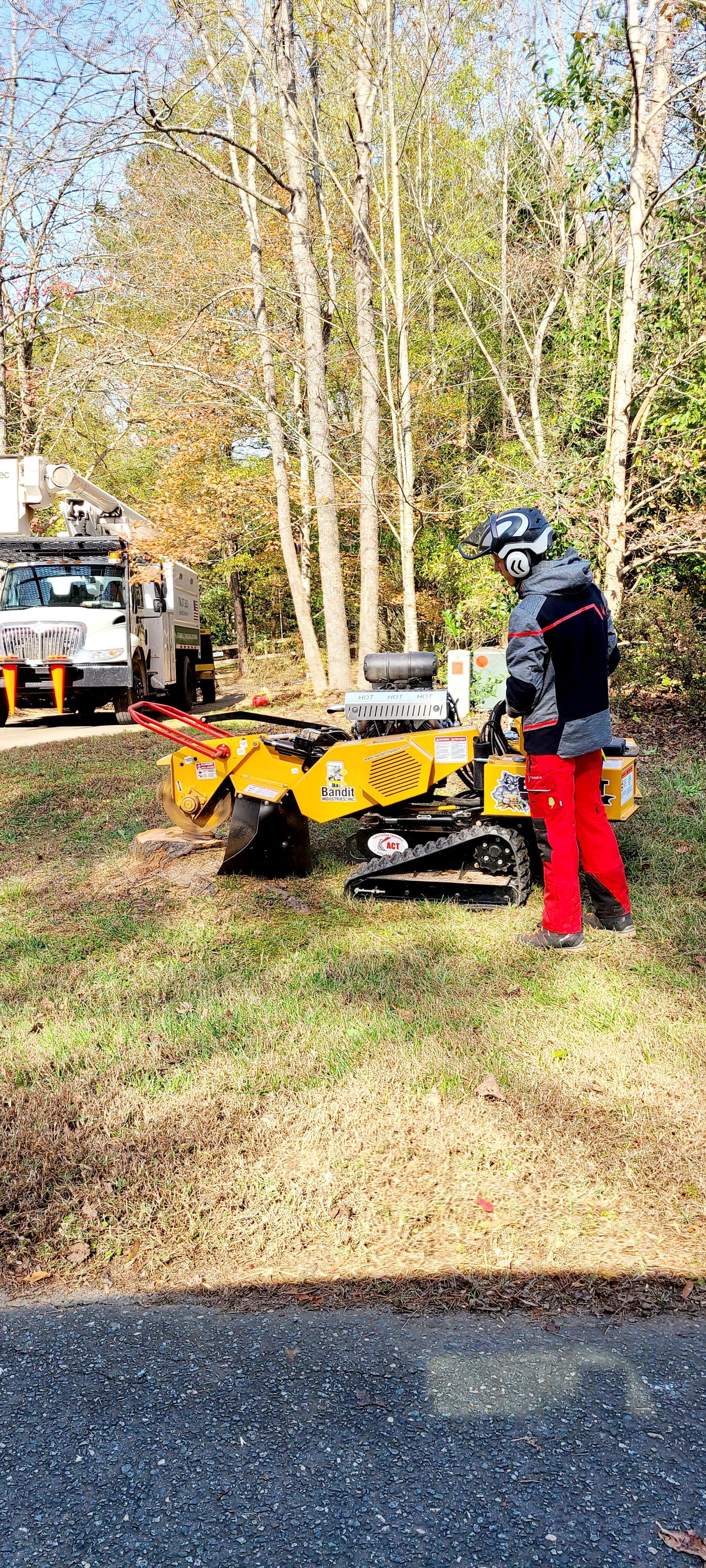 Stump Removal Charleston