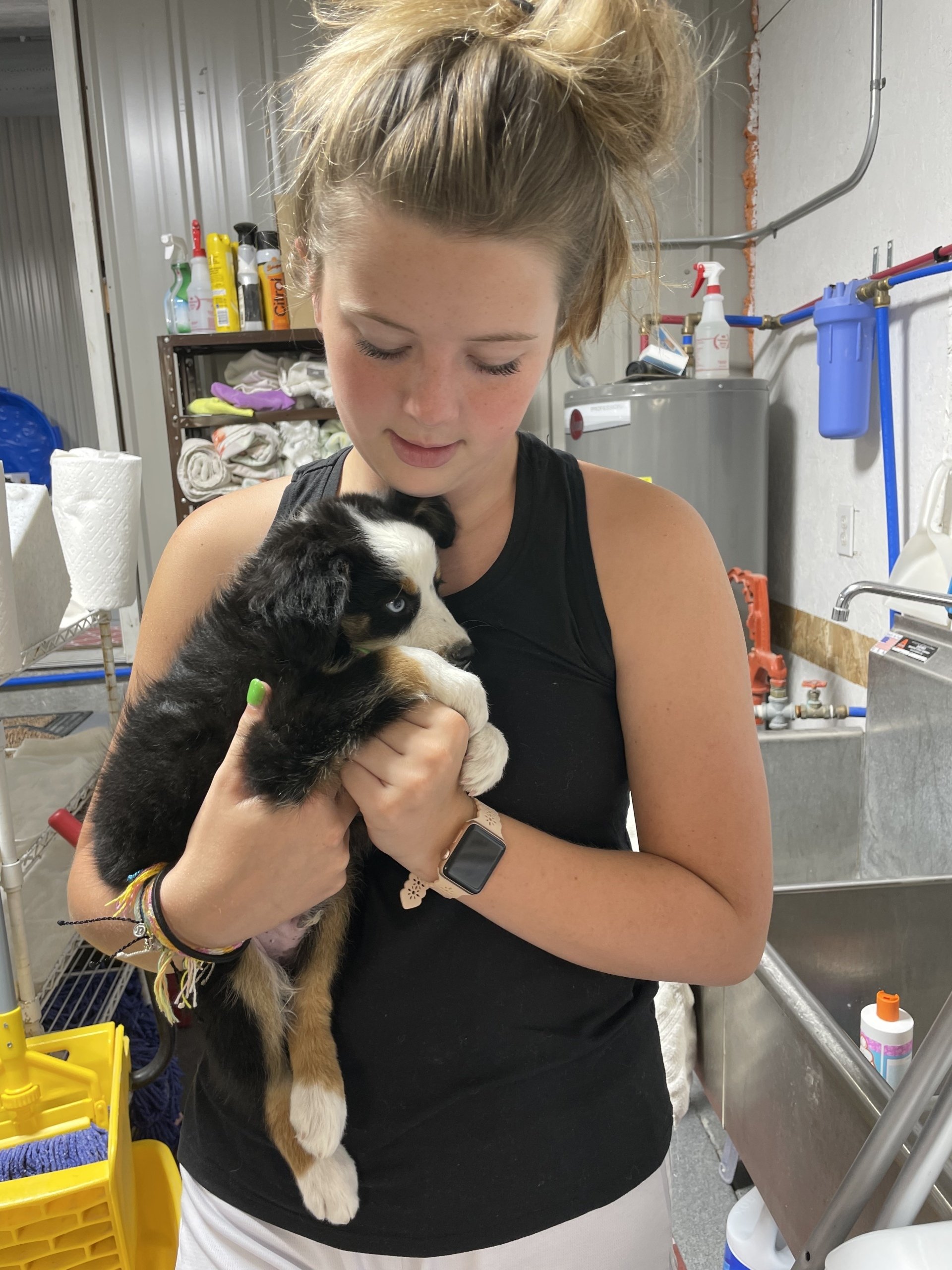 About JBK Nebraska Dog